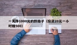 一天挣1000元的野路子（投资20元一小时赚500）