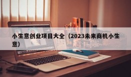 小生意创业项目大全（2023未来商机小生意）